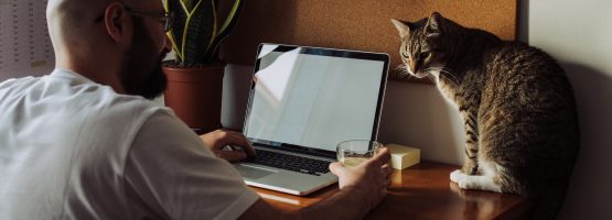 Quer trabalhar de casa? Veja mais de 840 vagas abertas para home office
